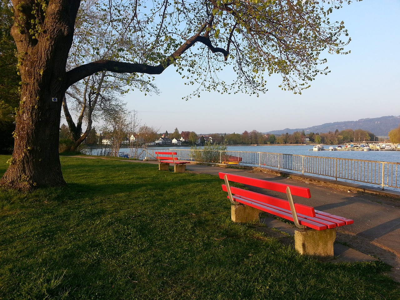 分能力无疑 分能力无疑