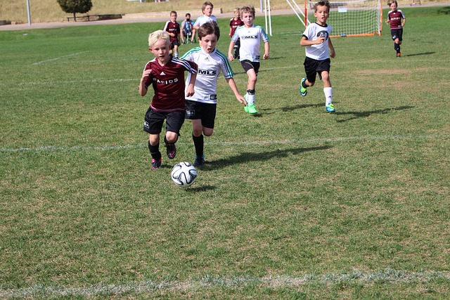 合同條件的 合同條件的