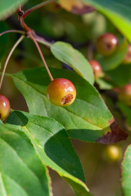队蜕变的成 队蜕变的成