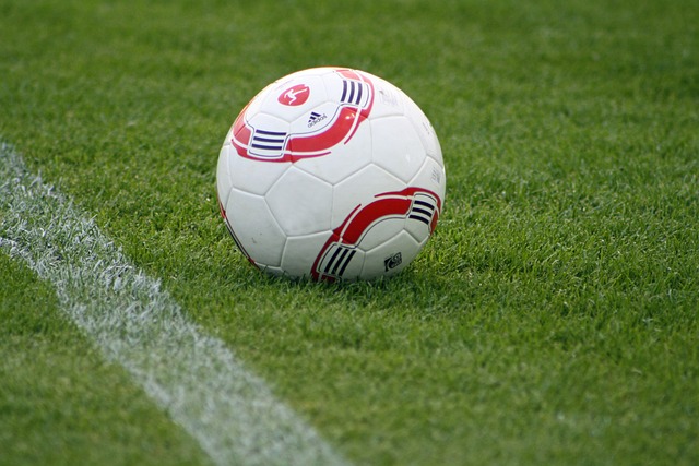 球员间的关 球员间的关