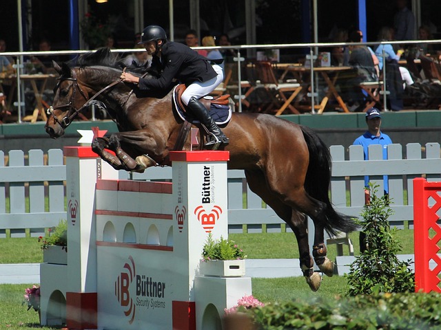 赛风格调整 赛风格调整