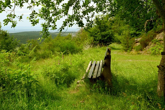力独行侠 力独行侠