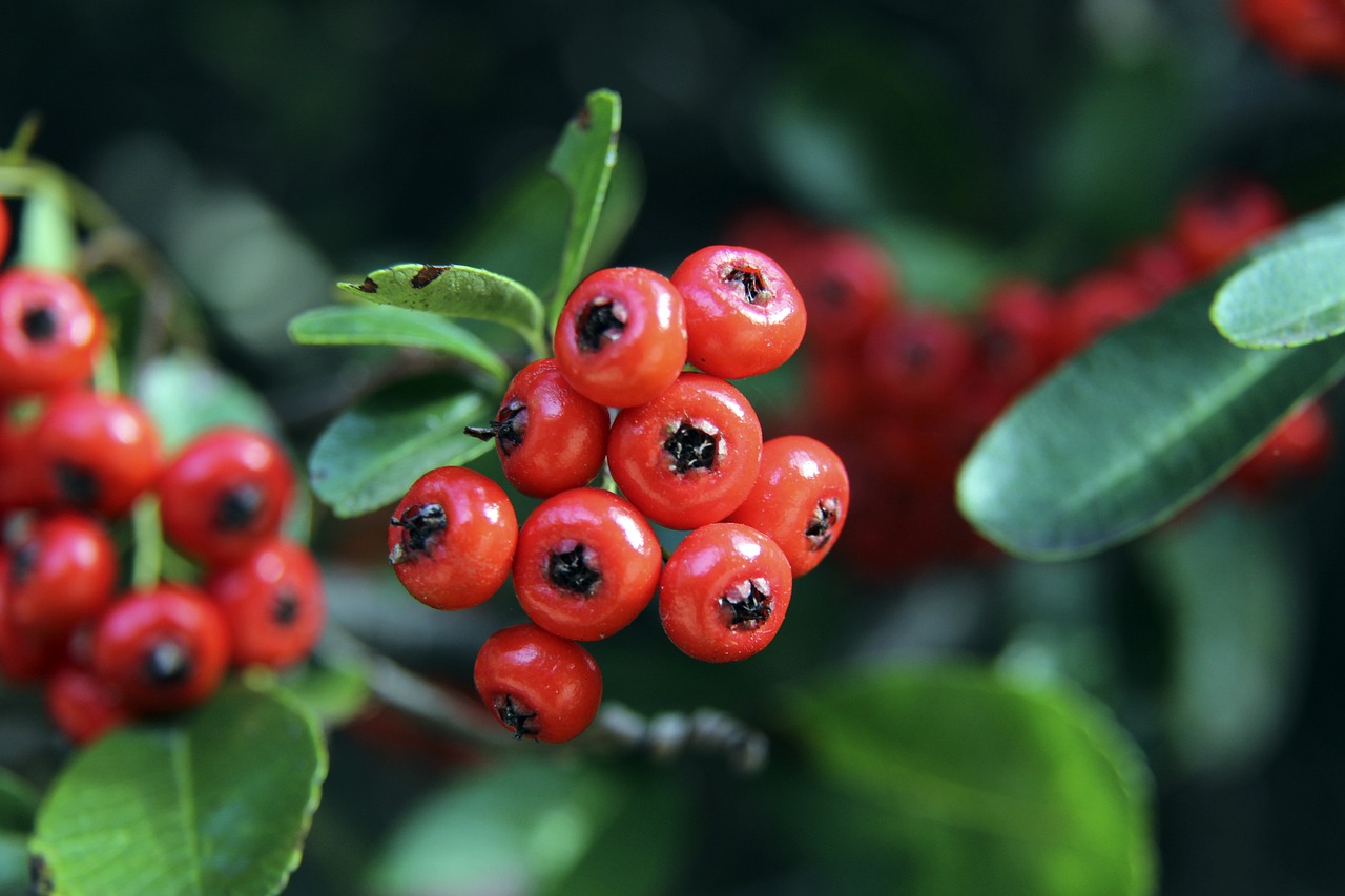 产生的影响 产生的影响