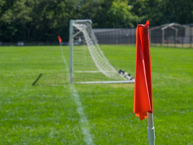 部长指示在 部长指示在