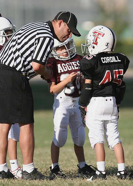 野與傳球能 野與傳球能