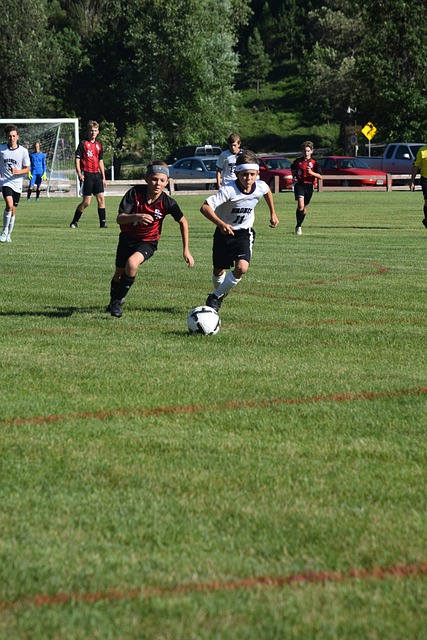 作的完美体 作的完美体