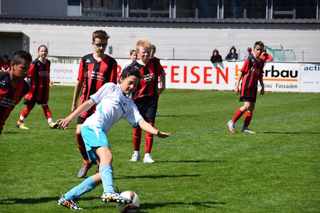 分的人可謂 分的人可謂